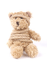 Tied teddy bear