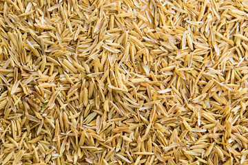 Paddy rice background