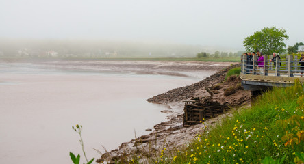Tourists and local people observe the tidal bore roll into Moncton, New Brunswick, Canada.
- 118982474