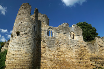 Ruine de la chapelle du Château de Montreuil Bonnin