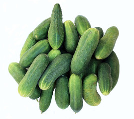 Several green fresh cucumber on a white background