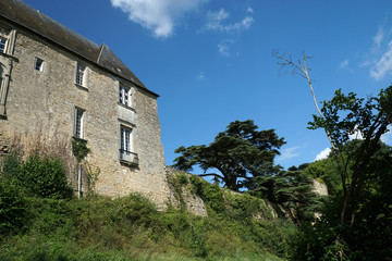 Fototapeta na wymiar Partie Renaissance du Château de Montreuil-Bonnin