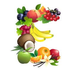 Vector Illustration Letter E composed of different fruits with leaves