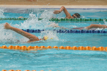 A group of swimmer swimming freestyle stroke in a swimming pool for competition or race