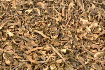 background of dried mushrooms