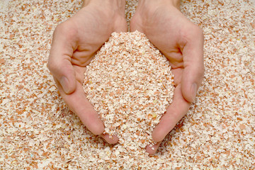  handful of eggshell in male hands