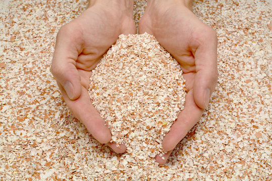  handful of eggshell in male hands