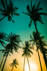 Silhouette de cocotiers sur la plage au coucher du soleil. Ton vintage.