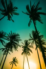 Papier Peint photo Lavable Palmier Silhouette de cocotiers sur la plage au coucher du soleil. Ton vintage.