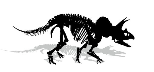Skeleton of dinosaur. 