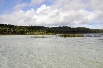 landscape along the shores of the crystal clear Lake Birrabeen on Fraser Island, Australia 