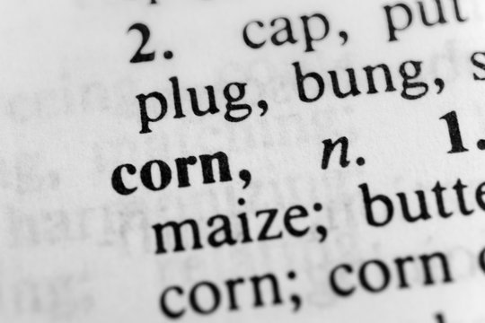 Corn