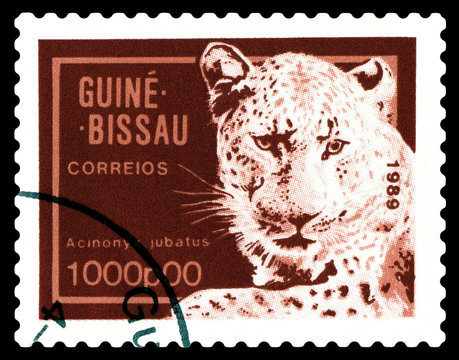 Postage stamp. African  cheetah.