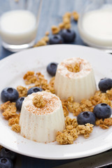 fresh cheese with granola and blueberries on plate on blue background