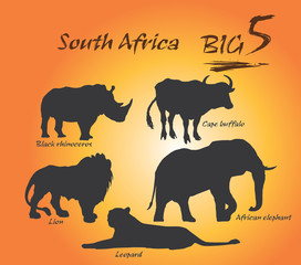 Big five
In Africa, the big five game animals are the African lion, African elephant, Cape buffalo, African leopard, and rhinoceros.
