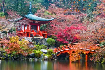 Photo sur Plexiglas Temple Temple Daigo-ji en automne