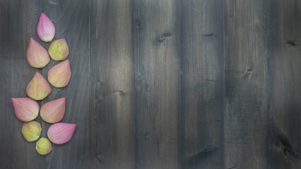 top view of pink water lily