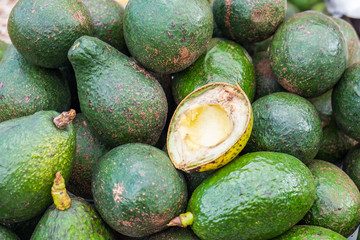 Avocado green peel staked