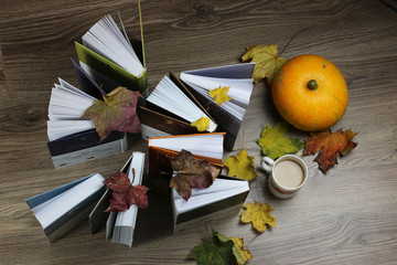 autumn leaves on top of the book
