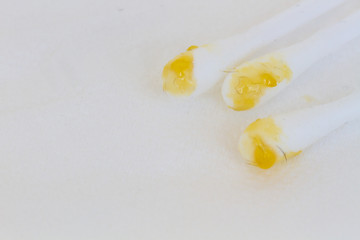 horizontal photo of closeup ear wax on on cotton swab isolated on white tissue paper, copyspace