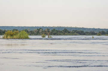 The Zambezi River  in Zambia  just upstream from Victoria Falls and  flowing with vast amounts of...