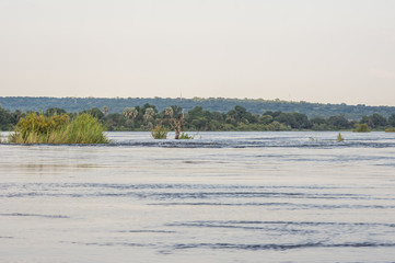 Naklejka premium The Zambezi River in Zambia just upstream from Victoria Falls and flowing with vast amounts of water