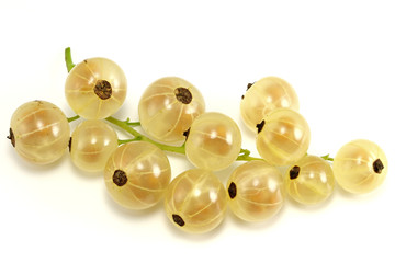 white currants isolated on white background