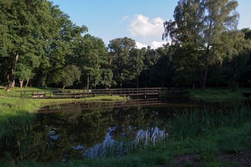 Staw  - stary park