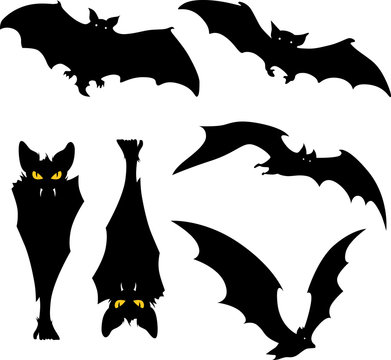Vampire bat silhouette vector illustration on white background 