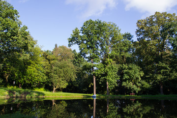 Staw  - stary park © Senatorek