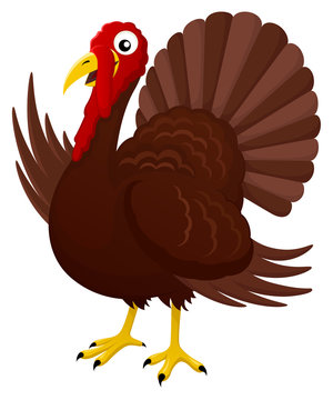 Vector illustration of a smiling cartoon turkey.