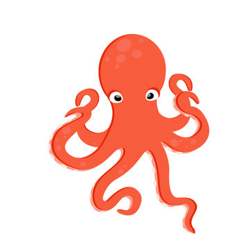 Sea creature octopus