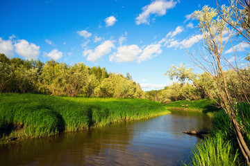Fototapeta premium Summer river landscape .