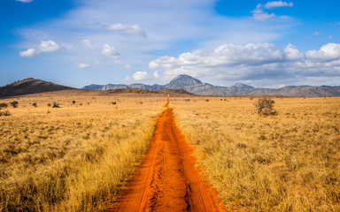 Fototapeta Tsavo Nationalpark obraz