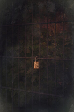 Rusty padlock on fence