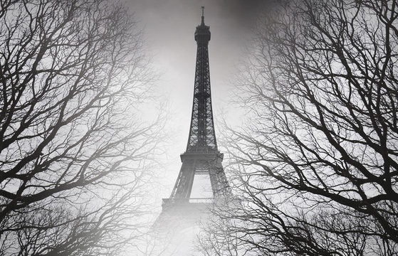 Fototapeta Autumn in Paris - black and white picture. Mysterious picture. 