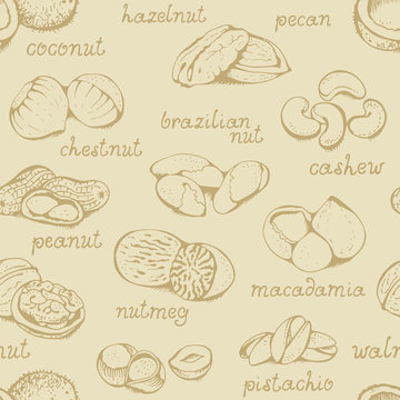 Nuts seamless beige pattern, vector illustration