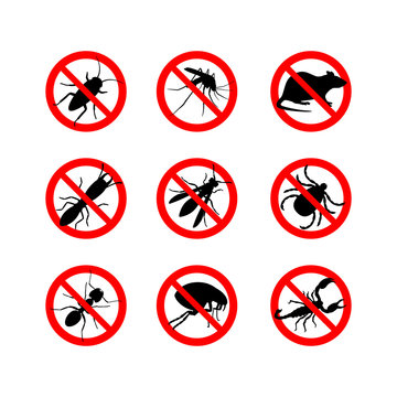 Signals of different insect pests on a white background
