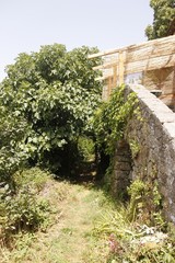 Jardin d'une maison dans les Cévennes 