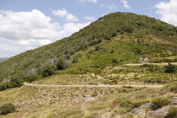 Fototapeta na wymiar Paysage de montagne, Cévennes