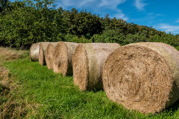 Strohrollen
