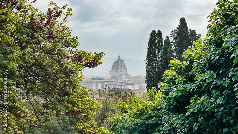 Poster tuscan landscape with duomo