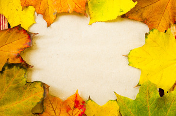 Naklejka na ściany i meble autumn background with colorful leaves