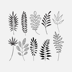 graphic decorative set of leaf icons