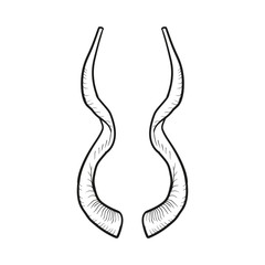 Black doodle contoure of horns isoleted on white