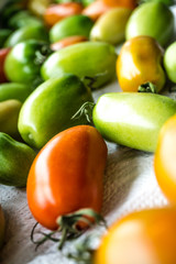 Tomaten auf Fensterbank 