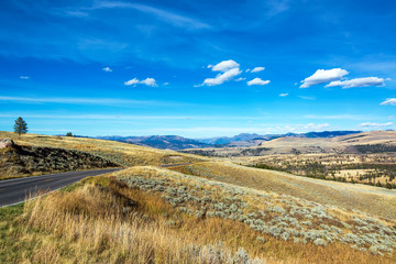 Road and Yellowstone Landscape