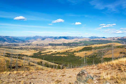 Landscape Near Mount Washburn