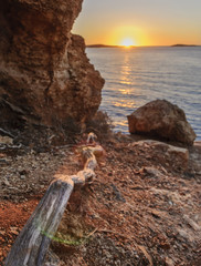 alone root at dawn beauty
Ibiza, Spain