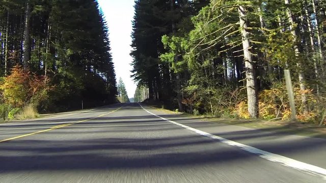 GoPro perspective of car driving on mountain road